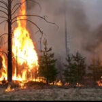 В Крыму локализовали огромный пожар, появившийся после аварии на газораспределителе