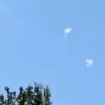 Силы ПВО уничтожили два беспилотника в небе над Брянской областью