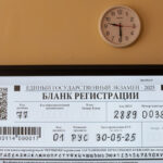 «Сплошь шаболды»: родной язык в формате ЕГЭ оказался полон сюрпризов